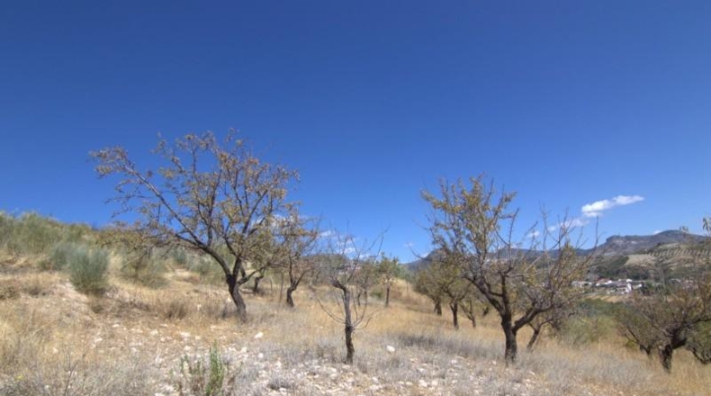 Granada - Huétor de Santillán - 22713m2