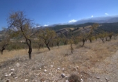 Terreny no urbanitzable en venda a la España, Huétor de Santillán, ref.: TR176699 foto