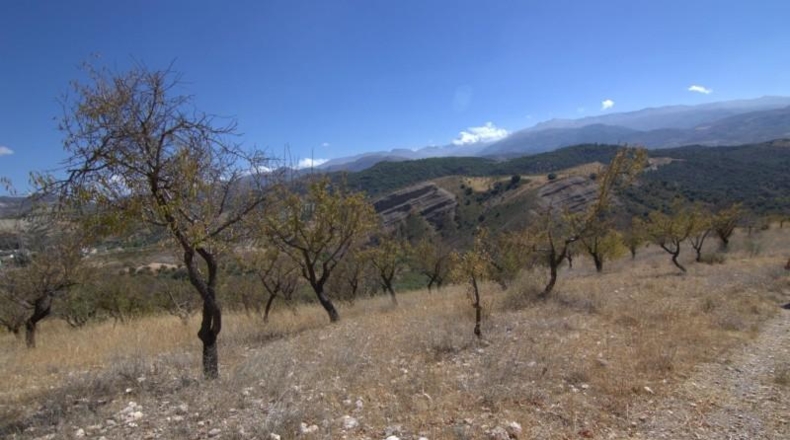Granada - Huétor de Santillán - 22713m2