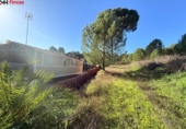 Detached villa with land for sale on España, Zalamea la Real, ref: TR276379 photo
