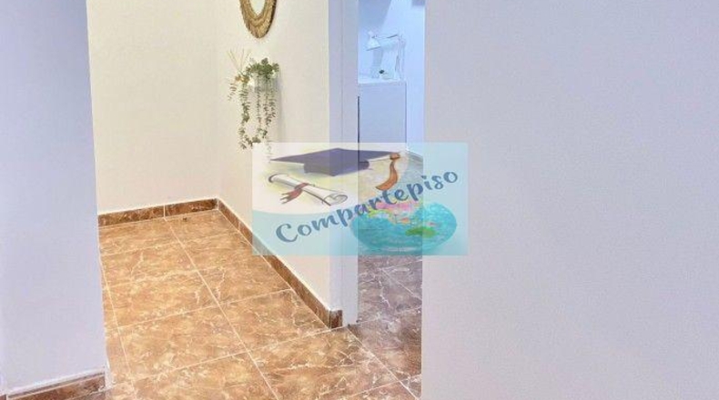 Murcia - Murcia - 120m2