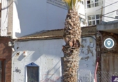 Sòl urbà en venda a la España, Elx, ref.: TR316045 foto