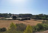 Parcela urbanizable en venta en la España, Muro, ref: TR130315 foto