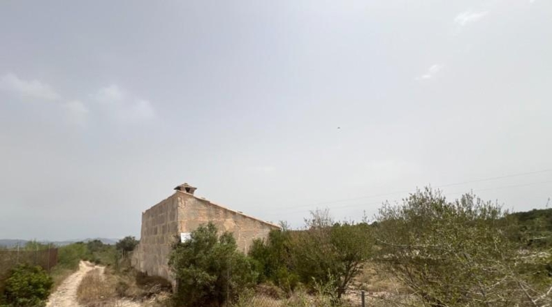 Balearic Islands - Muro - 20000m2