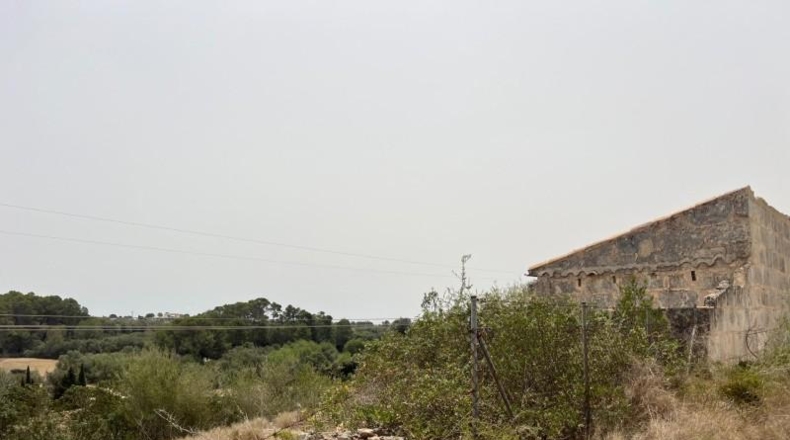 Balearic Islands - Muro - 20000m2