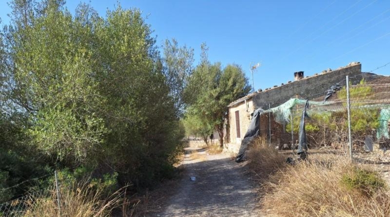 Balearic Islands - Muro - 20000m2