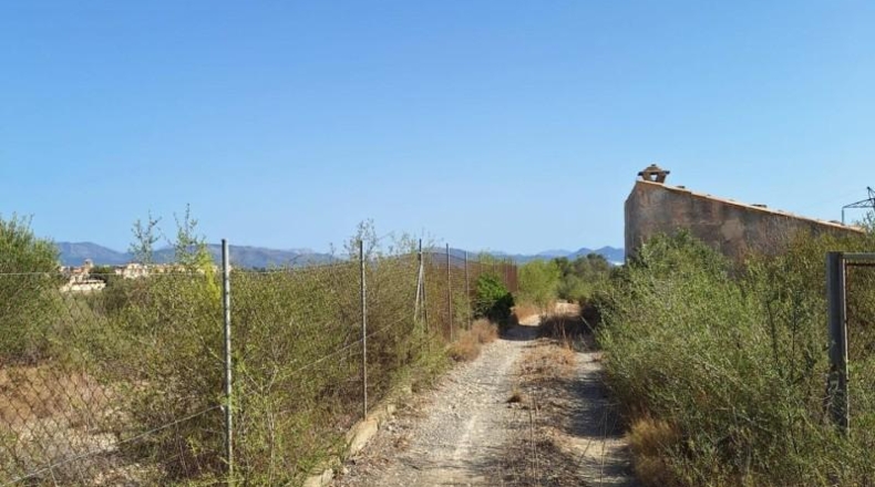 Balearic Islands - Muro - 20000m2