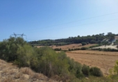 Parcela urbanizable en venta en la España, Muro, ref: TR130315 foto