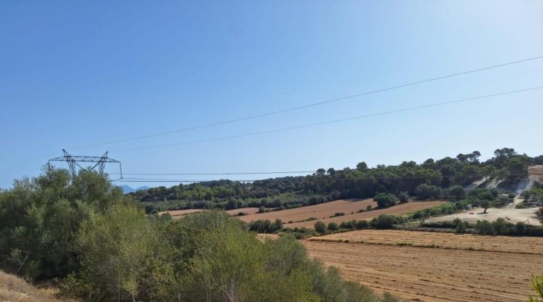 Balearic Islands - Muro - 20000m2