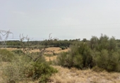 Parcela urbanizable en venta en la España, Muro, ref: TR130315 foto
