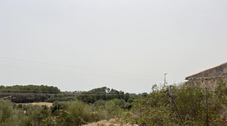 Balearic Islands - Muro - 20000m2