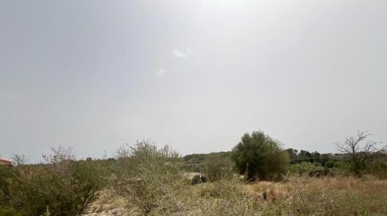Balearic Islands - Muro - 20000m2