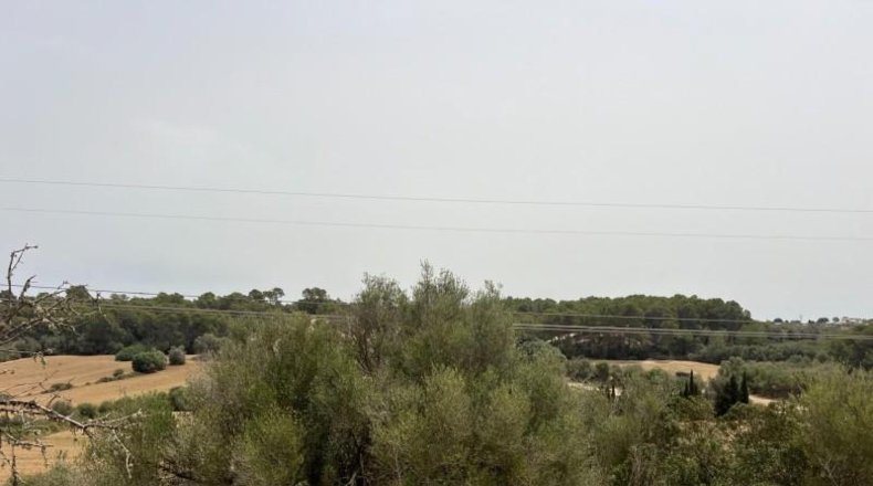 Balearic Islands - Muro - 20000m2