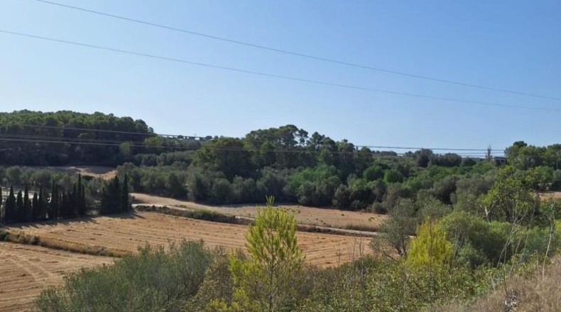 Balearic Islands - Muro - 20000m2