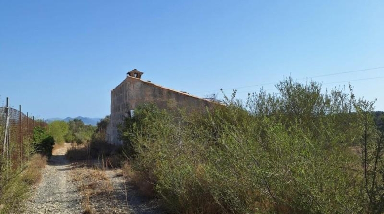 Balearic Islands - Muro - 20000m2
