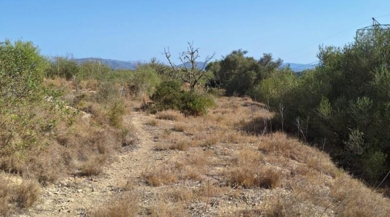 Balearic Islands - Muro - 20000m2