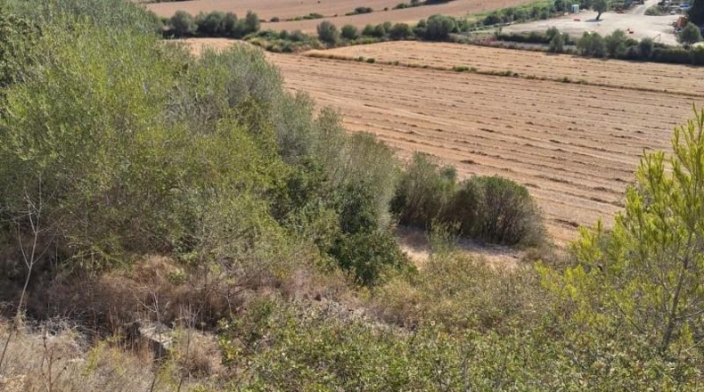 Balearic Islands - Muro - 20000m2