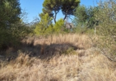 Parcela urbanizable en venta en la España, Muro, ref: TR130315 foto