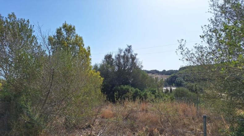 Balearic Islands - Muro - 20000m2