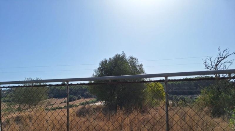 Balearic Islands - Muro - 20000m2
