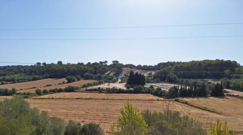 Balearic Islands - Muro - 20000m2