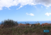 Land suitable for development for sale on España, San Pedro de Breña Alta, ref: TR179472 photo