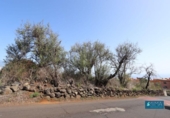Land suitable for development for sale on España, San Pedro de Breña Alta, ref: TR179472 photo