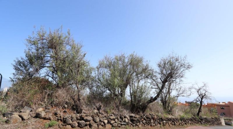 Santa Creu de Tenerife - Breña - 1000m2