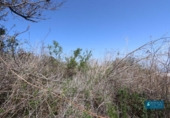 Land suitable for development for sale on España, San Pedro de Breña Alta, ref: TR179472 photo