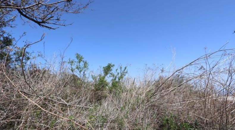 Santa Creu de Tenerife - Breña - 1000m2