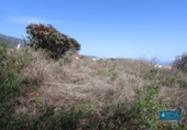 Land suitable for development for sale on España, San Pedro de Breña Alta, ref: TR179472 photo