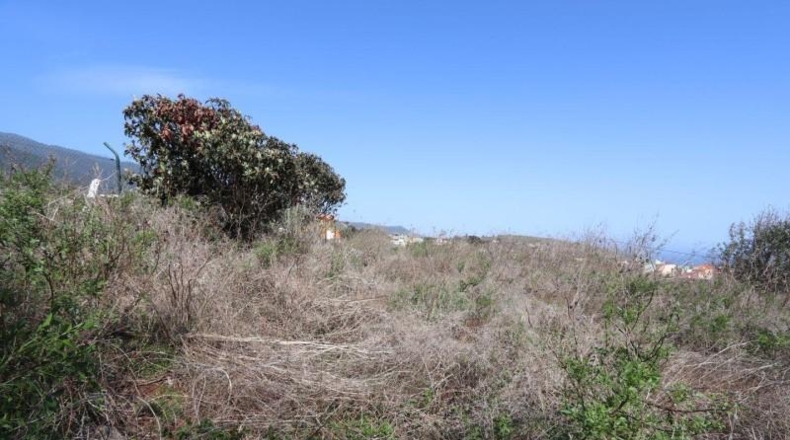 Santa Creu de Tenerife - Breña - 1000m2