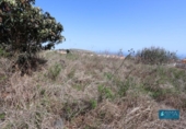 Land suitable for development for sale on España, San Pedro de Breña Alta, ref: TR179472 photo