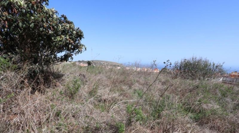 Santa Creu de Tenerife - Breña - 1000m2