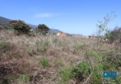 Land suitable for development for sale on España, San Pedro de Breña Alta, ref: TR179472 photo