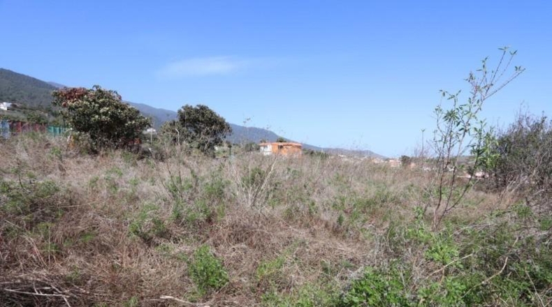 Santa Creu de Tenerife - Breña - 1000m2