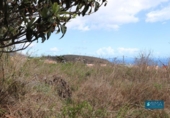 Land suitable for development for sale on España, San Pedro de Breña Alta, ref: TR179472 photo