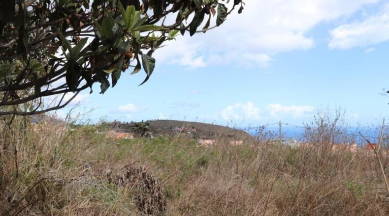 Santa Creu de Tenerife - Breña - 1000m2