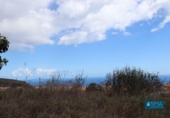 Land suitable for development for sale on España, San Pedro de Breña Alta, ref: TR179472 photo