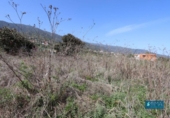 Land suitable for development for sale on España, San Pedro de Breña Alta, ref: TR179472 photo
