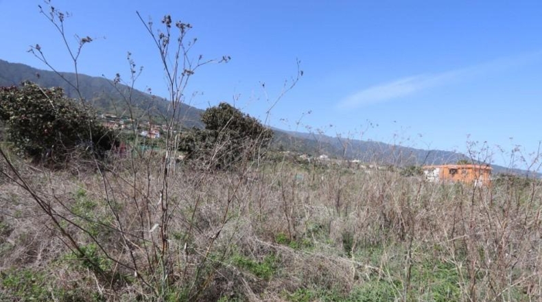 Santa Creu de Tenerife - Breña - 1000m2