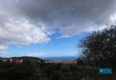 Land suitable for development for sale on España, San Pedro de Breña Alta, ref: TR179472 photo