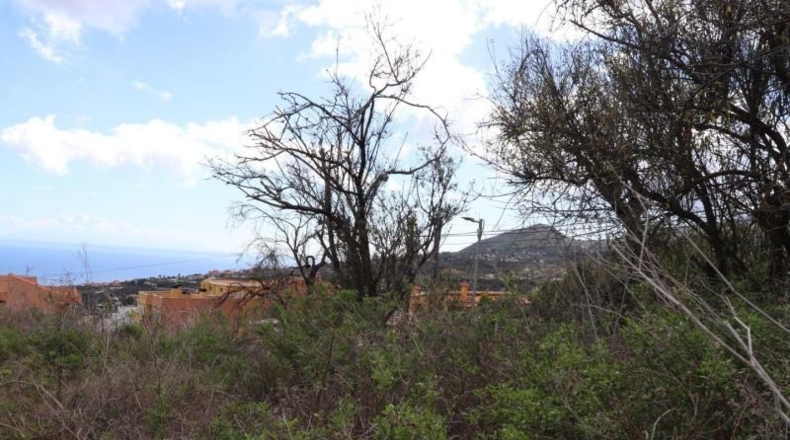 Santa Creu de Tenerife - Breña - 1000m2