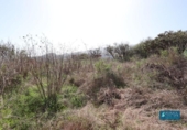 Land suitable for development for sale on España, San Pedro de Breña Alta, ref: TR179472 photo