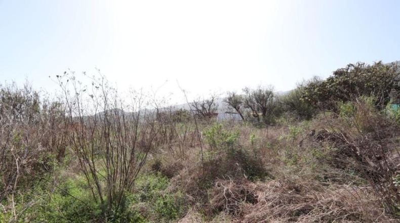 Santa Creu de Tenerife - Breña - 1000m2