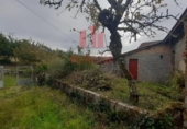 Finca rústica en venta en la España, Parada de Amoeiro, ref: TR298065 foto