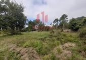 Finca rústica en venta en la España, Parada de Amoeiro, ref: TR298065 foto