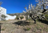 Urban land for sale on España, Benigembla, ref: TR125133 photo