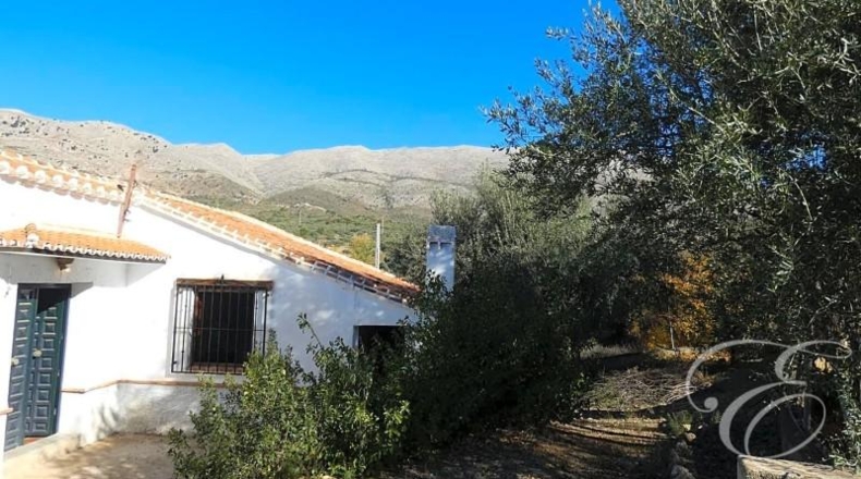 Málaga - Periana - 6000m2