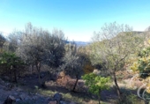 Casa de camp amb terreny en venda a la España, Periana, ref.: TR152740 foto